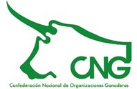 CNG